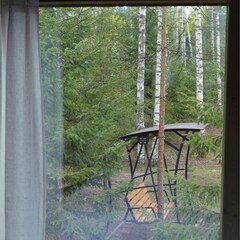 Эко-отель Лунный кролик, Костромская область