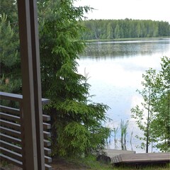 Эко-отель Лунный кролик, Костромская область