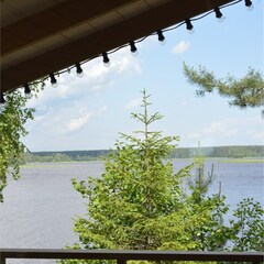 Эко-отель Лунный кролик, Костромская область