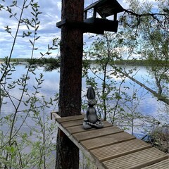 Эко-отель Лунный кролик, Костромская область