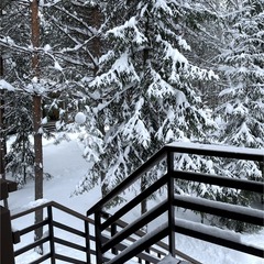 Эко-отель Лунный кролик, Костромская область