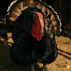 Эко-отель Лунный кролик, Костромская область