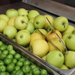 Отель Shahdag Quba Truskavets, Баку