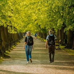 Отель Shahdag Quba Truskavets, Баку