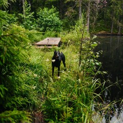 Коттеджный комплекс Форелевая ферма, Выборгский район, Ленинградская область