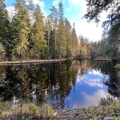 Коттеджный комплекс Форелевая ферма, Выборгский район, Ленинградская область
