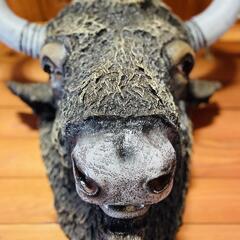 Гостевой комплекс НеОтель, Камчатский край