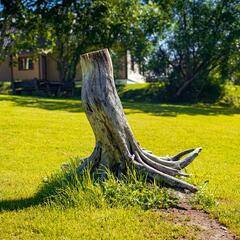 Гостевой комплекс НеОтель, Камчатский край