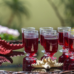 Отель NADEZHDA BEACH HOTEL, Краснодарский край