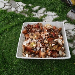 Гостевой дом Меличуярви, Республика Карелия