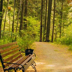 Санаторий Самотлор, Нижневартовск, Ханты-Мансийский автономный округ