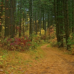 Санаторий Самотлор, Нижневартовск, Ханты-Мансийский автономный округ