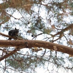 Санаторий Изумрудный, Приморский край