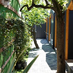 Эко-отель EcoSuite Family, Сочи, Краснодарский край