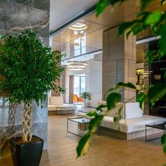 Отель Winter Park Hotel, Баку