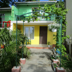 Гостевой дом Platan, Ялта, Крым