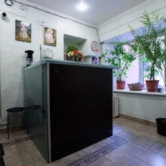 Мини-отель Pushkinskaya 8, Санкт-Петербург, Ленинградская область