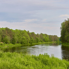 Эко-комплекс Мазаная Горка, Волосовский район, Ленинградская область