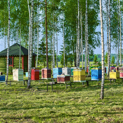 Эко-комплекс Мазаная Горка, Волосовский район, Ленинградская область