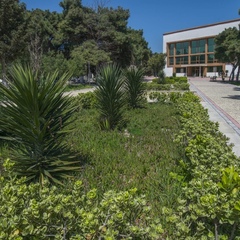 Санаторий Неврологический Гюнешли, Баку