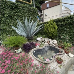 Гостевой дом Аврора, Сочи, Краснодарский край