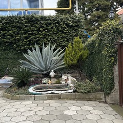 Гостевой дом Аврора, Сочи, Краснодарский край