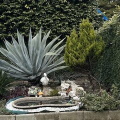 Гостевой дом Аврора, Сочи, Краснодарский край