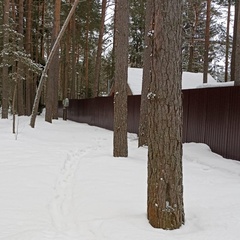 Коттедж проезд Лесной, д. 14, Селижаровский район, Тверская область