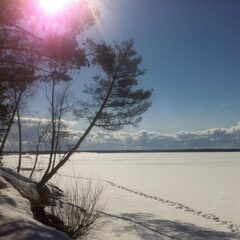 Коттедж проезд Лесной, д. 14, Селижаровский район, Тверская область