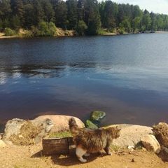 Коттедж проезд Лесной, д. 14, Селижаровский район, Тверская область