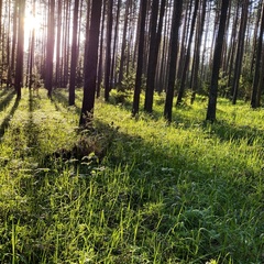 Коттедж проезд Лесной, д. 14, Селижаровский район, Тверская область