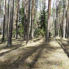 Коттедж проезд Лесной, д. 14, Селижаровский район, Тверская область