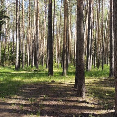 Коттедж проезд Лесной, д. 14, Селижаровский район, Тверская область