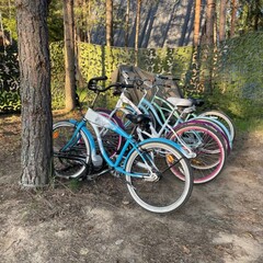 База отдыха Les Holidays, Киржачский район, Владимирская область