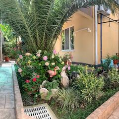 Гостевой дом АнжеликА, Адлер, Краснодарский край