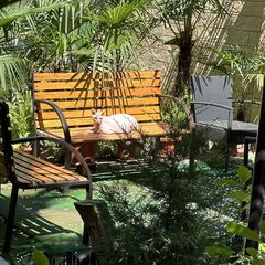 Гостевой дом АнжеликА, Адлер, Краснодарский край