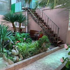 Гостевой дом АнжеликА, Адлер, Краснодарский край