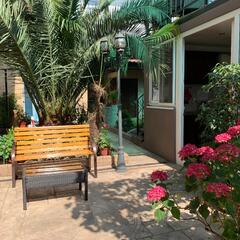 Гостевой дом АнжеликА, Адлер, Краснодарский край