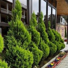 Отель Анастасия, Гудаута