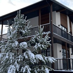 Отель Клевер резорт, Чемальский район, Республика Алтай