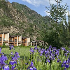 Отель Клевер резорт, Чемальский район, Республика Алтай