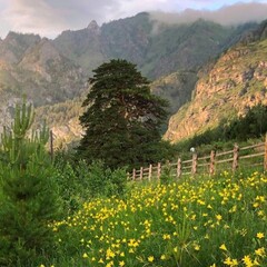 Отель Клевер резорт, Чемальский район, Республика Алтай