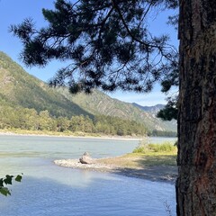 Отель Клевер резорт, Чемальский район, Республика Алтай