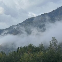 Отель Клевер резорт, Чемальский район, Республика Алтай
