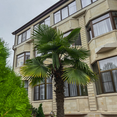 Гостиница Сенатор НеоЛит, Сочи, Краснодарский край