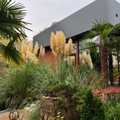 Гостиница Сенатор НеоЛит, Сочи, Краснодарский край