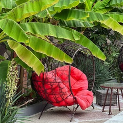 Гостиница Сенатор НеоЛит, Сочи, Краснодарский край