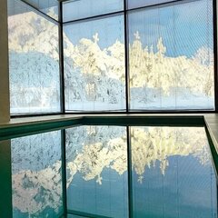 Отель Eco Forrest Club SPA, Саратов, Саратовская область