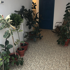 Отель Вилла Коронелло, Феодосия, Крым