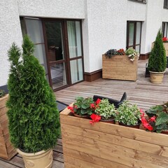 Отель Forrest Terrace Hotel, Владикавказ, Республика Северная Осетия - Алания